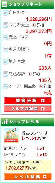 2009年4月リアルドロップシッピング売上1位